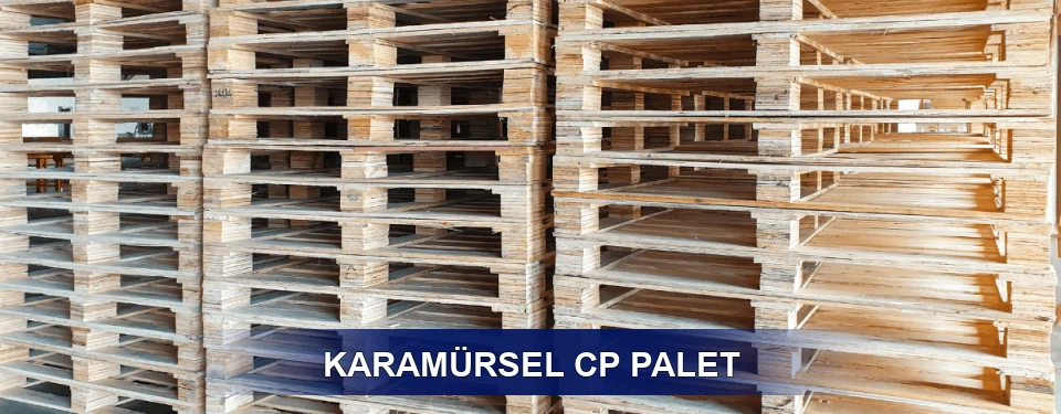 Karamürsel Standart Tipler
