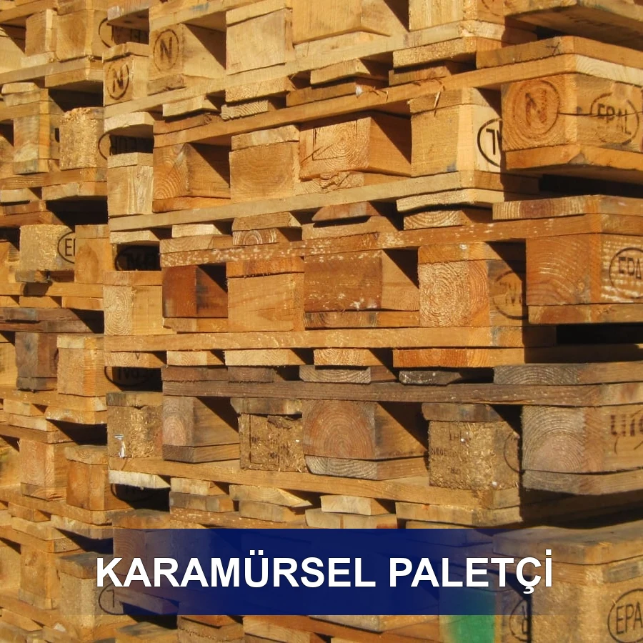 Karamürsel Paletçi
