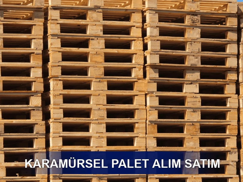 Karamürsel Palet Galeri 3