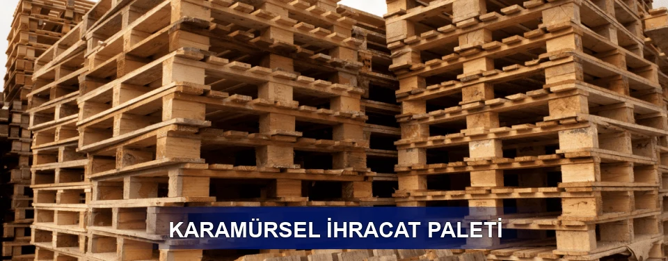 Karamürsel ISPM 15 Seçimi