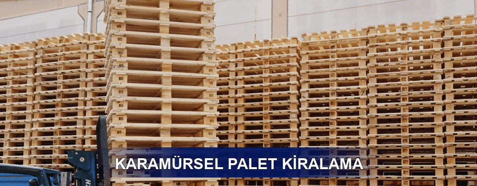 Karamürsel Uzun Dönem